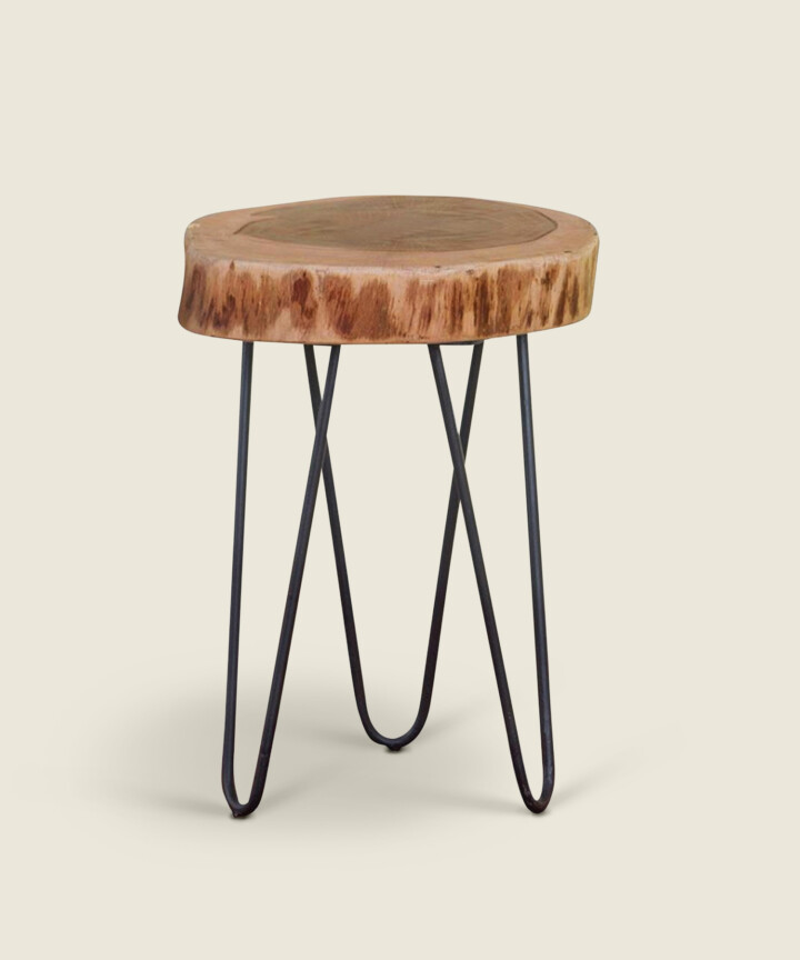1207205.jpg